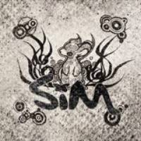 SiM : Paint Sky Blue